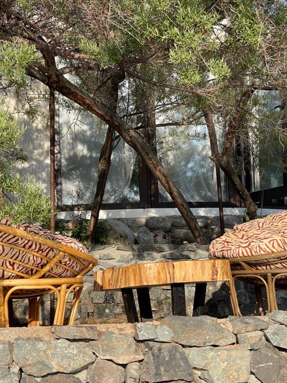 Ak-Tengir Yurt Resort Tossor Buitenkant foto